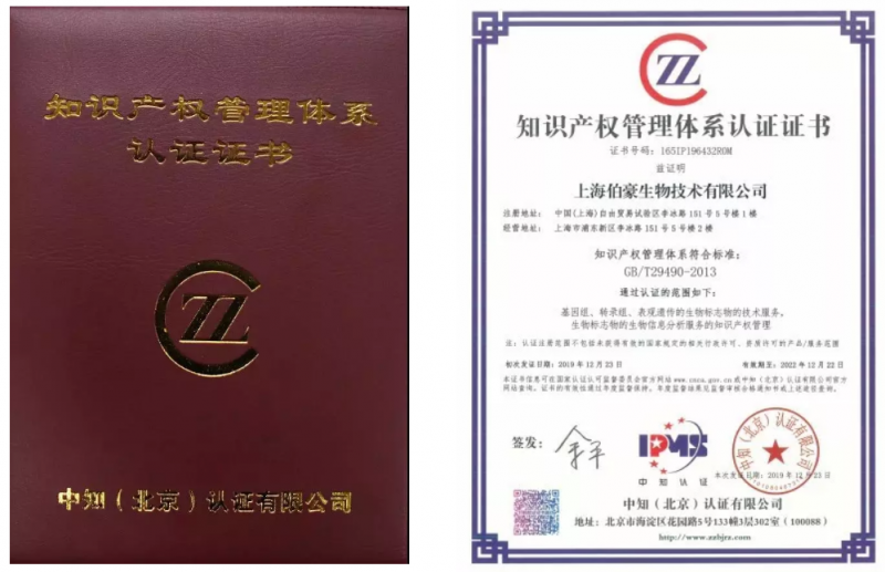 伯豪生物榮獲知識產(chǎn)權(quán)管理體系認證證書