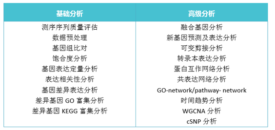 真核轉(zhuǎn)錄組測(cè)序分析流程劃分