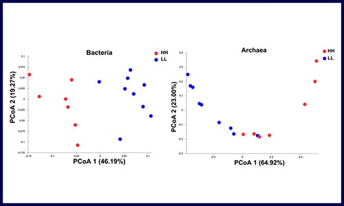 文獻(xiàn)解讀 | 微生物組 + 代謝組共同探究影響牛奶的蛋白產(chǎn)量的因素