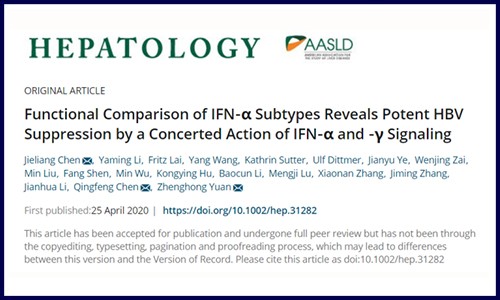 干貨！伯豪客戶高分文章詳解