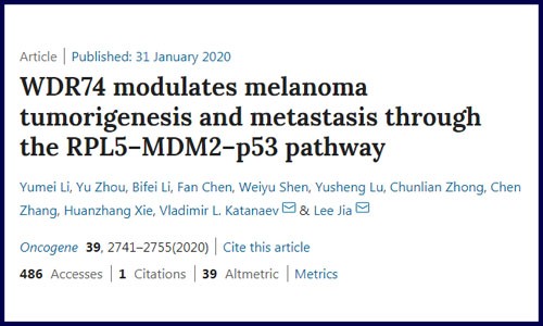 蛋白篇│蛋白組學(xué)機(jī)制研究例文解讀