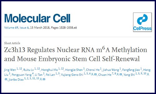 高分文章必備 |LC-MS+m6A-seq