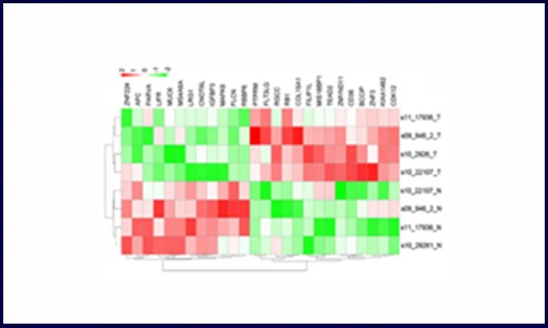 基因芯片在 FFPE 樣本檢測中的應(yīng)用