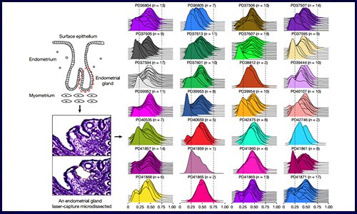 Nature 文獻(xiàn)集錦 | 常見腫瘤研究系列——婦科腫瘤