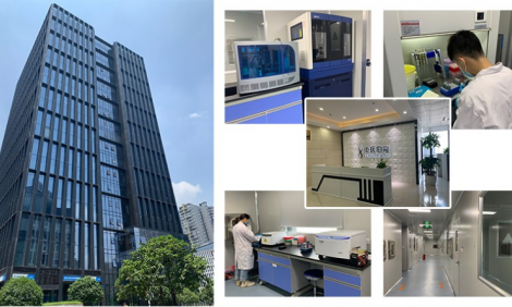 喜訊：重慶伯豪滿分通過(guò)新冠核酸檢測(cè)室間質(zhì)評(píng)