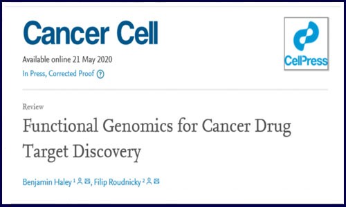 Cancer Cell 綜述?功能基因組學(xué)在癌癥藥物靶點篩選中的應(yīng)用