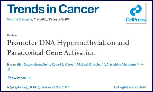 Trends in Cancer 綜述 | 啟動子 DNA 高甲基化激活基因高表達(dá)