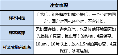 FFPE 樣本準備、儲存及運輸