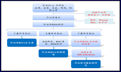 漲姿勢啦！解鎖外泌體研究策略！