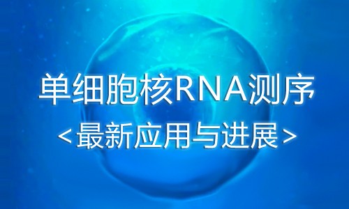 干貨分享丨詳解單細(xì)胞核 RNA 測序（snRNA-seq）應(yīng)用與進(jìn)展