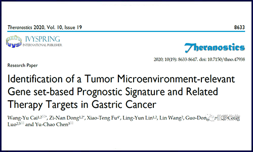 機(jī)器學(xué)習(xí)建模結(jié)合免疫浸潤分析探究胃癌患者預(yù)后及潛在治療靶點(diǎn)