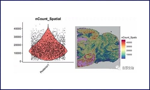 空間轉(zhuǎn)錄組 | 數(shù)據(jù)預(yù)處理、降維、聚類（seurat）