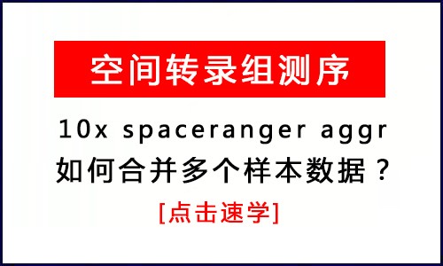 空間轉(zhuǎn)錄組 |10x spaceranger aggr 合并多個(gè)樣本