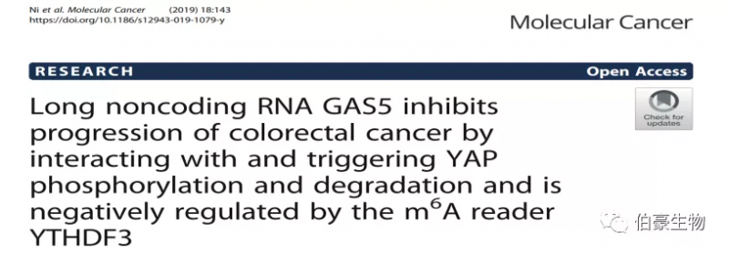 RNA 甲基化測(cè)序 m6a 甲基化測(cè)序 伯豪生物甲基化服務(wù)客戶發(fā)文 