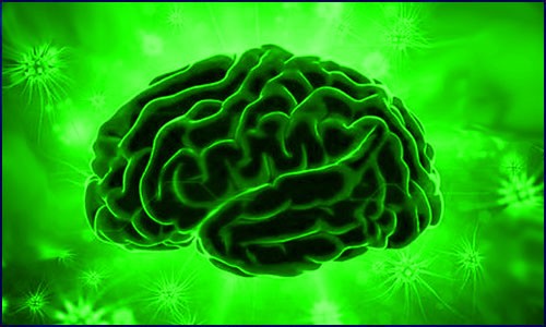 單細(xì)胞 RNA 測(cè)序?yàn)閷ふ倚碌陌柎暮Ｄ∷幬锇悬c(diǎn)鋪新路