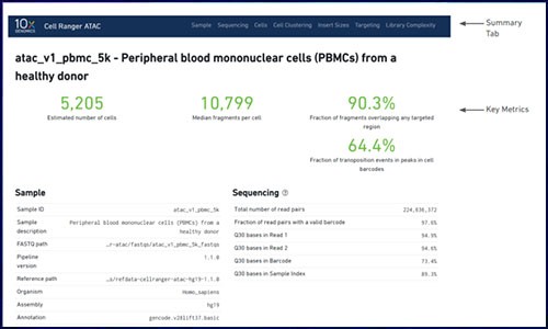單細(xì)胞 ATAC 的 cellranger 質(zhì)控不會(huì)看？看這篇