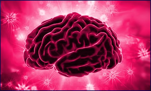 Nat. Genet. | 基于 ATAC-Seq、HiCHIP 數(shù)據(jù)構(gòu)建人類大腦表觀遺傳圖譜，揭示 AD/PD 遺傳風(fēng)險(xiǎn)位點(diǎn)