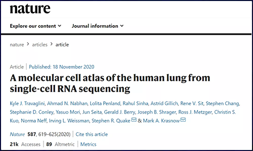 Nature | 基于單細(xì)胞 RNA 測(cè)序繪制人類肺組織分子細(xì)胞圖譜，成功鑒定多種未知細(xì)胞類型