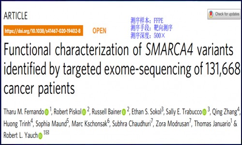 超高性價(jià)比的基因測(cè)序來(lái)了‖超萬(wàn)例腫瘤研究