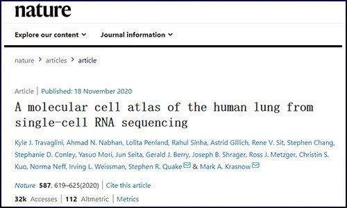 文獻(xiàn)錦集 |11 月份單細(xì)胞測(cè)序高分文獻(xiàn)匯總