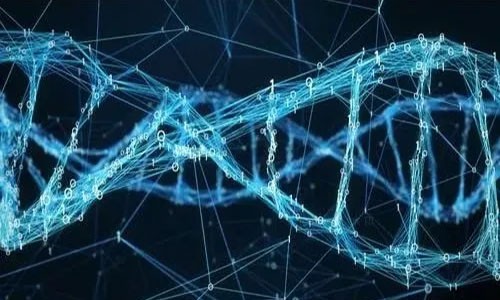 Cell 子刊 | 整合 scRNA-seq 和 ATAC-seq 數(shù)據(jù)分析人類發(fā)育過程中造血功能的調(diào)控