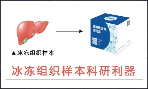 師兄又發(fā)文章了，我看著手里的冰凍組織很著急！
