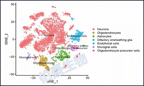 單細胞核測序 | 干貨測數(shù)據(jù)大放送！