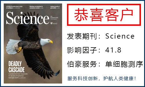 客戶單細胞項目文章登 Science| 田志剛院士團隊發(fā)現(xiàn)天然淋巴細胞的骨髓外發(fā)育新途徑
