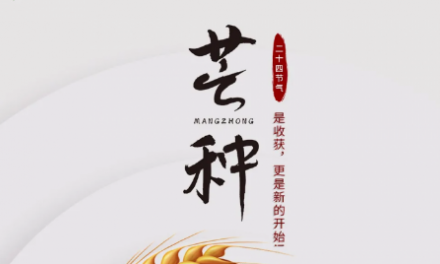 芒種 | 是收獲，更是新的開始！