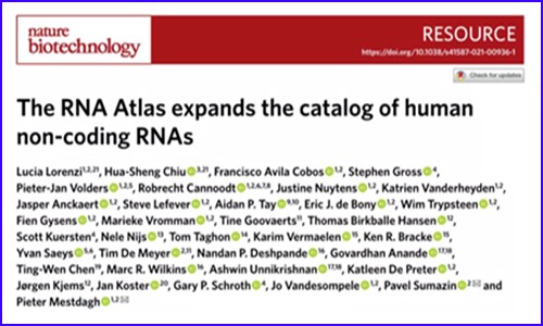 更全面的人類轉(zhuǎn)錄組圖譜 | 基于 300 種人類細(xì)胞和組織類型繪制，非編碼 RNA 數(shù)量增加 8%