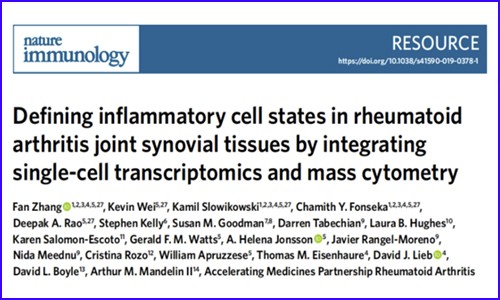文獻解讀 | 單細(xì)胞轉(zhuǎn)錄組學(xué)分析類風(fēng)濕性關(guān)節(jié)炎關(guān)節(jié)滑膜組織中的炎癥細(xì)胞