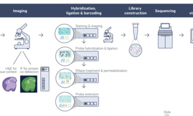 活動即將滿額 |FFPE 空間轉錄組內測福利再不約就晚了！