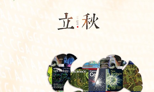 立秋 | 科研服務(wù)不期而遇
