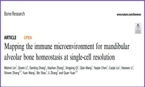 文獻解讀 | 單細胞測序揭示小鼠下頜牙槽骨的免疫微環(huán)境