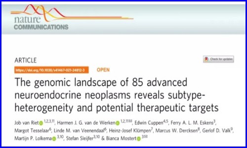 Nature Communications | 大規(guī)模晚期神經(jīng)內(nèi)分泌腫瘤全基因組測(cè)序揭示亞群異質(zhì)性和潛在治療靶點(diǎn)