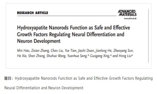項(xiàng)目文章 IF=30.849| 常規(guī)轉(zhuǎn)錄組技術(shù)揭示羥基磷灰石納米材料可加快神經(jīng)分化和神經(jīng)元發(fā)育