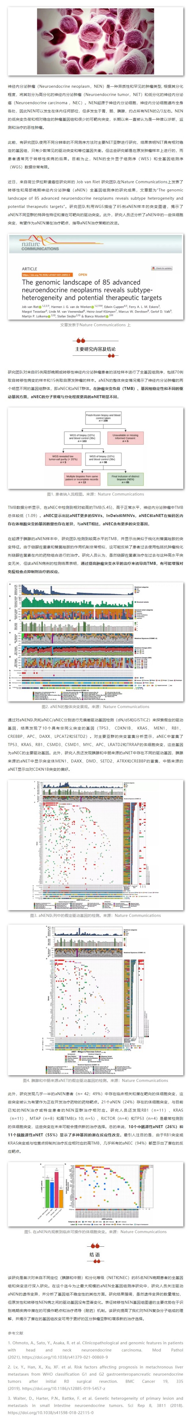 網(wǎng)頁(yè)捕獲_29-8-2021_21341_mp