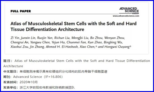 發(fā)育生物學(xué) | 單細(xì)胞測(cè)序揭示肌肉骨骼干細(xì)胞分化圖譜