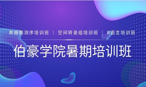 伯豪學(xué)院 |2021 暑期培訓(xùn)班圓滿收官！