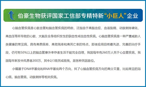 心腦血管疾病 | 甲基化研究思路分享