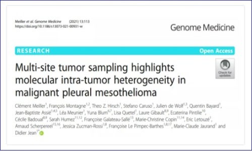 多組學(xué)文獻(xiàn)解析丨多組學(xué)揭示惡性胸膜間皮瘤異質(zhì)性