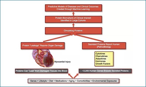 《歐洲心臟雜志》IF 29.983 | 一級預(yù)防：基于 Olink 改進(jìn)心血管風(fēng)險(xiǎn)預(yù)測新方案