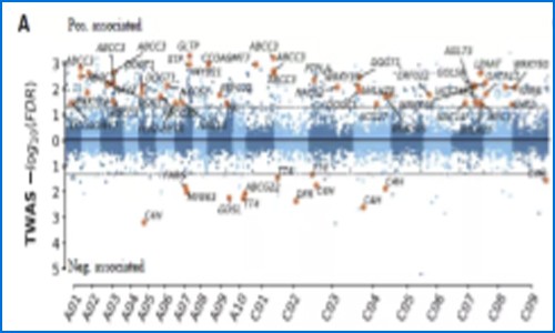 多組學(xué)聯(lián)合分析 | 萬(wàn)金油 RNA-seq —— 聯(lián)合基因組學(xué)