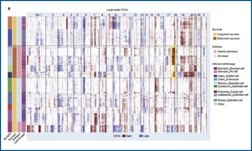 單細(xì)胞測序 | 單細(xì)胞測序技術(shù)揭示轉(zhuǎn)移性胃腺癌的瘤內(nèi)異質(zhì)性和譜系多樣性