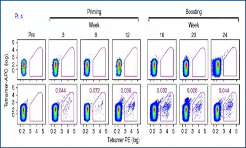 文獻(xiàn)解讀 | 單細(xì)胞測(cè)序評(píng)估腫瘤疫苗療效