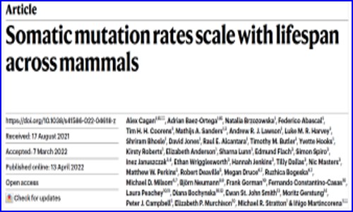 Nature | 為何動物的壽命差異那么大？跨物種單細(xì)胞測序揭示長壽密碼