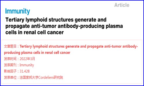 10x Genomics 文章新鮮出爐 |FFPE 空間轉(zhuǎn)錄組文章