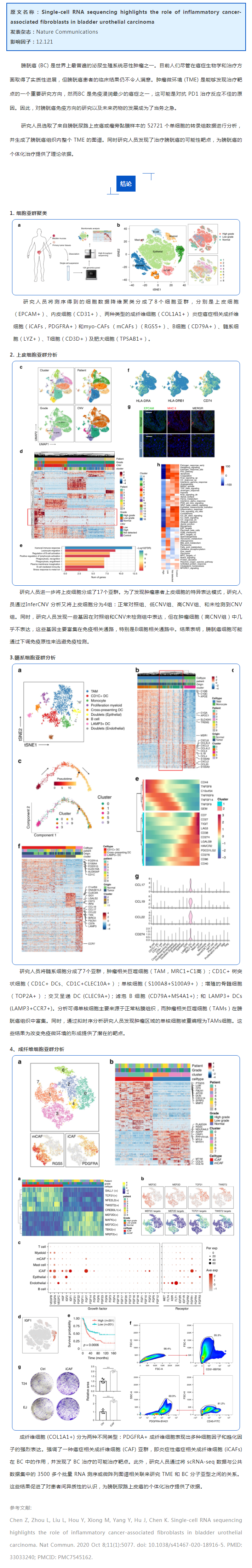 文獻(xiàn)解讀 | 單細(xì)胞測序研究膀胱癌中癌癥相關(guān)成纖維細(xì)胞