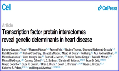 Cell| 結合蛋白質組與外顯子組技術構建轉錄因子互作圖譜，揭示先心病的遺傳決定因素