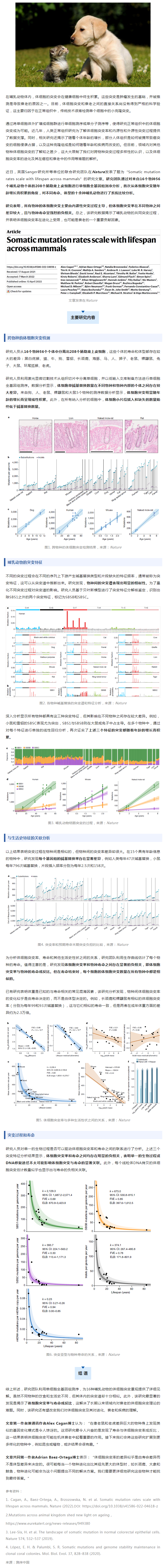 Nature _ 為何動物的壽命差異那么大？跨物種單細胞測序揭示長壽密碼